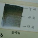 내남자내여자헤어