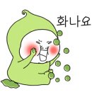 베릴키키 이미지