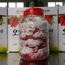 우리영농조합법인 농장 이미지