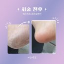 네일도꽃길 - 평택시 | 네일도꽃길