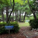 도립서귀포합창단 제69회 정기연주회 네이버블로그