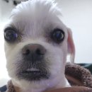 비온다매비온다매비온다매비온다매비온다매비온다매비온다매비온다매비온다매비온다매비온다매비온다매비온다매비온다매비온다매비온다매(vs 🍞) 이미지