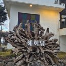 해화탕건물 이미지