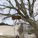 양대목장 이미지