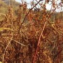 소가산농장 이미지