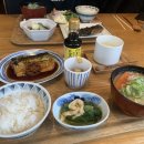 하카타나카 네이버블로그