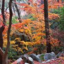 금강공원1 이미지