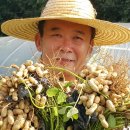 영근농장 이미지