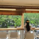 NR-20[지리산대로]-하-60 | 7월 셋째주&amp;넷째주 일기 [22.07.16 - 22.07.31]