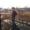 김동수농장 이미지