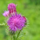 살둔산장 이미지