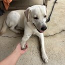 먼지.zip | 2025 10월 Zip.