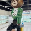 인천강아지분양 테디럽 이미지