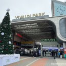 비발디 후문 | [공지] 비발디파크 스키장 강습 리프트권까지 한 번에 렌탈샵 볼컴 후기