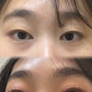 모뮤토 이미지