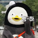 더 클래식 500 펜타즈 이미지