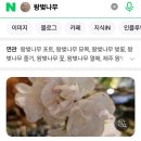 2108 | 名古屋マリオットアソシアホテル 2108호 후기 (ソメイヨシノ)