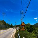 오늘도푸른 이미지