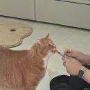 선유빵집