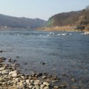 비내섬의 아침 이미지