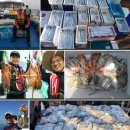 대학당 보청기 이미지