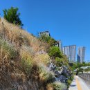 정상헌세무회계사무소