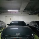 클린출장세차 | [부산/강서구] 부산 출장세차 추천｜집 앞 주차장에서 끝내는 워터리스 세차, 클린컷 후기 (가격·전후...