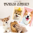 유어스투어 | W-24ෆ 웨딩 스튜디오 사진 보정업체ㅣ사설 보정ㅣ나유어스 티켓팅ㅣ보정 후기ㅣ내돈내산