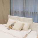 포미슈퍼 | 저상형아기침대 신생아 원목 아기침대 고민이라면 숲소리 포미오 매장 비교 후기