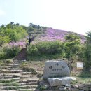 남서대로 이미지