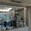 수목원동물병원 네이버블로그