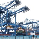 대미플러스 이미지