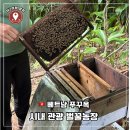 TY FARM | [베트남 푸꾸옥] 벌꿀농장 4박 5일 코스추천 이색체험