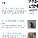 해피독 트레이닝스쿨 이미지