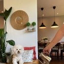 스테이제부 이미지