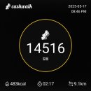 천년의짬뽕 이미지