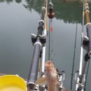 중리낚시터 이미지