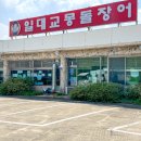몽돌힐링 이미지