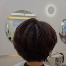 선헤어살롱 - 부천시 원미구 소향로 228 | 선헤어살롱