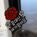 매정마을 | 매정의 잡다한 일상 02) 바빴던 5월! 정신 없던 행사 Day🥹