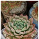 블루핑거(주) 이미지