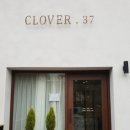 클로버. (clover)37 이미지