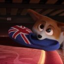 프린스 코기 이미지