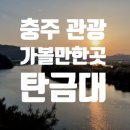.🍂 충주 시민의 진짜 휴식처, 탄금대에서 보낸 오후