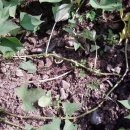 사내골농장 이미지