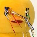 띵크(THINK) 이미지