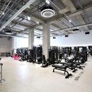 프로젝트디에이 이미지