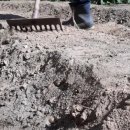 초봉농장 이미지