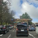 아이렌트카 | 일본 벳부 여행 3일차｜아프리칸 사파리 오픈런 후기 (아이동반 렌트카)