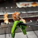 일차양꼬치 이미지